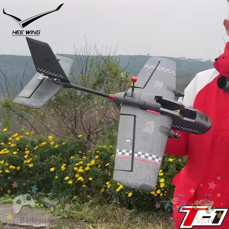 NEW IN STOCK T1 Professional F - Rc Wing Glider 评论和价格