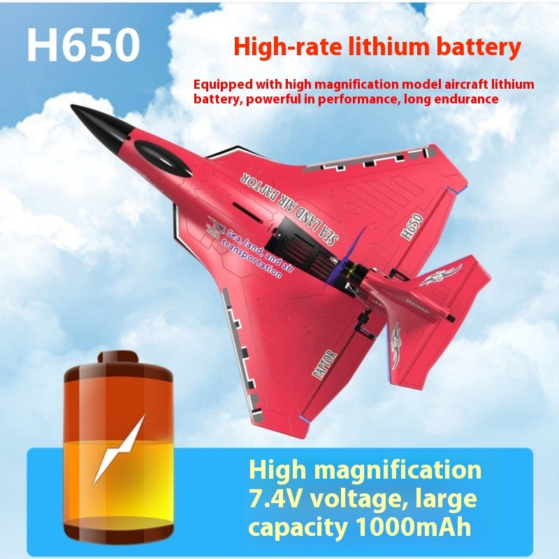 H650 Big Size Rc Plane Water P - Rc Wing Glider 评论和价格