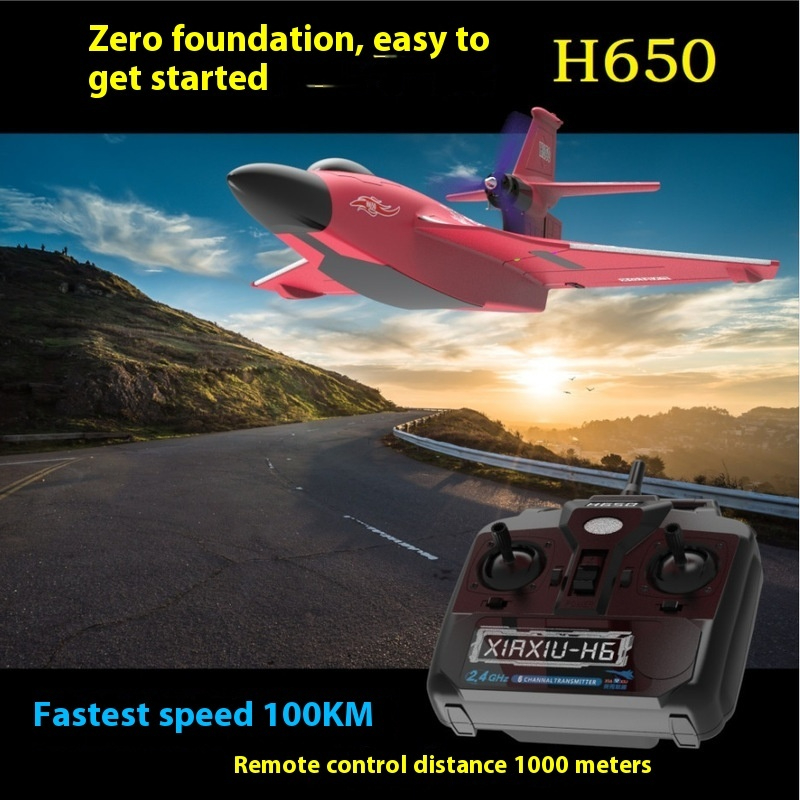 H650 Big Size Rc Plane Water P - Rc Wing Glider 评论和价格